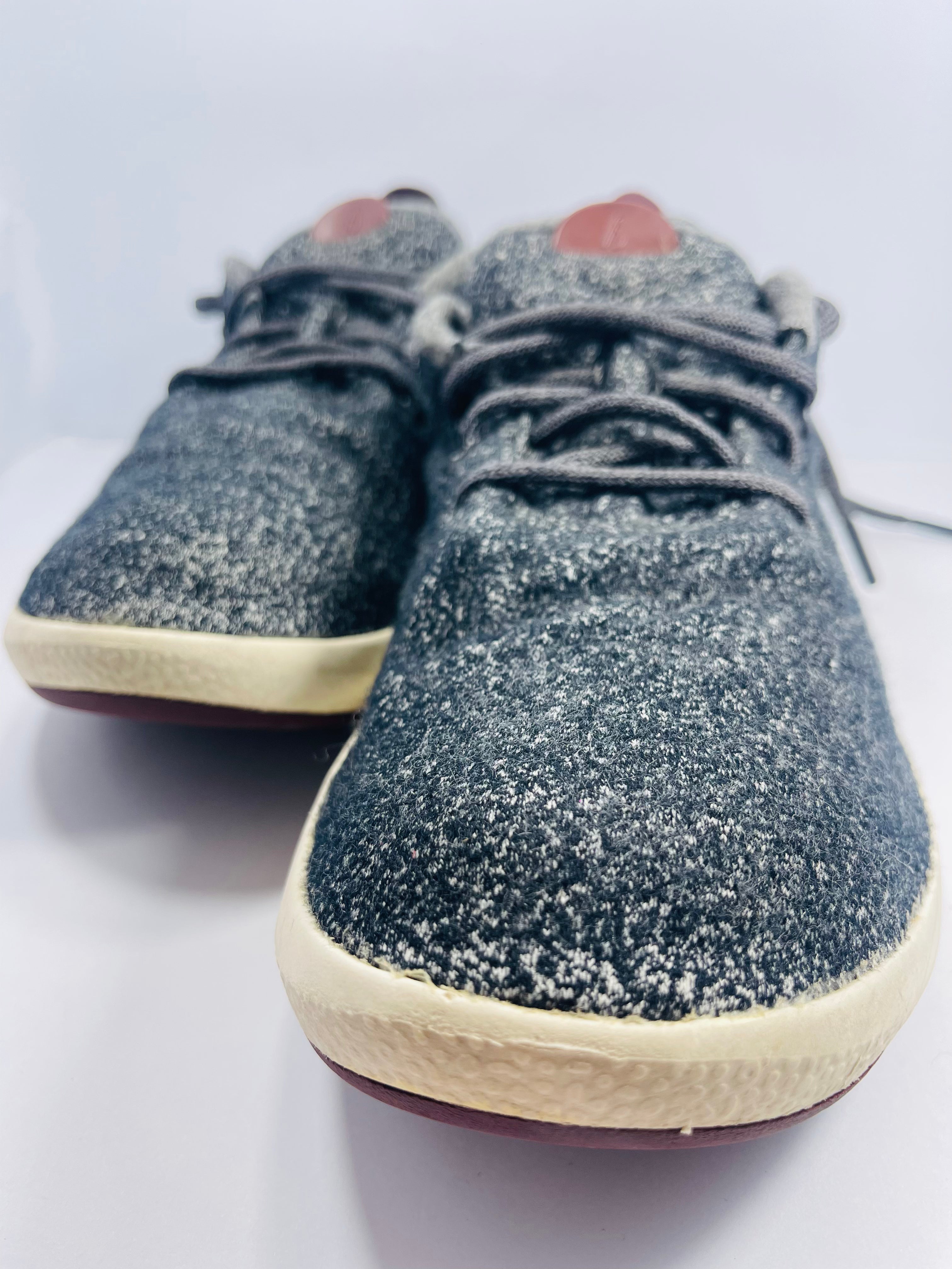 All Birds Warm Sneakers